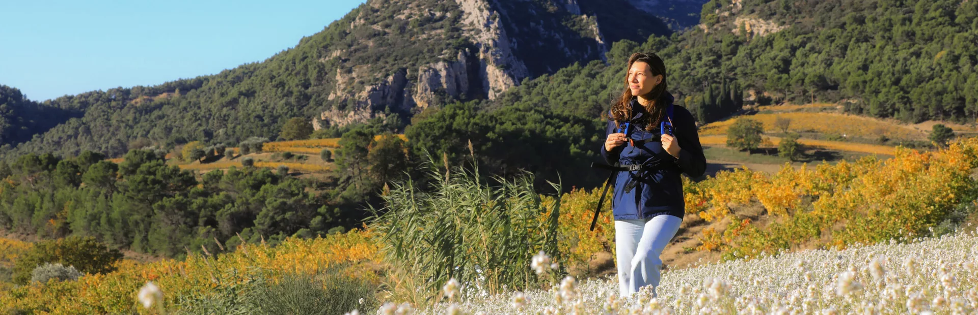 Randonnée dans les Dentelles de Montmirail  © Hocquel