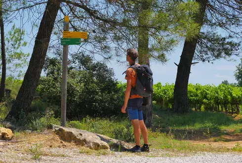 Randonnée en Vaucluse  © Genestal