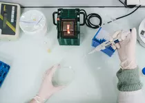 Algovital, filière cosmétique  © O'Brien