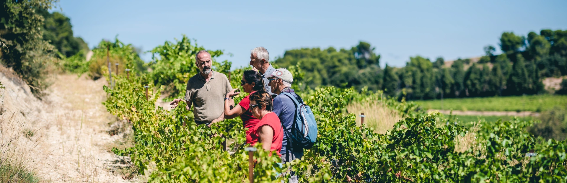 Rencontre avec un vigneron en Vaucluse  © O'Brien