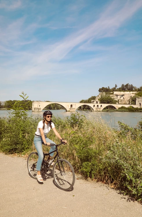 Vélo sur l'île de la Barthelasse à AVignon  © Hocquel