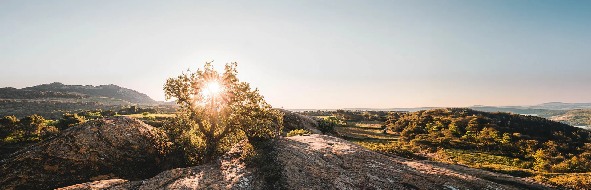 Vaucluse en Provence 
