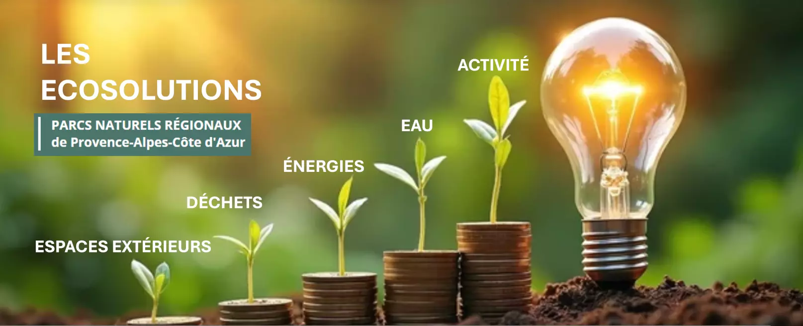 Ecosolutions