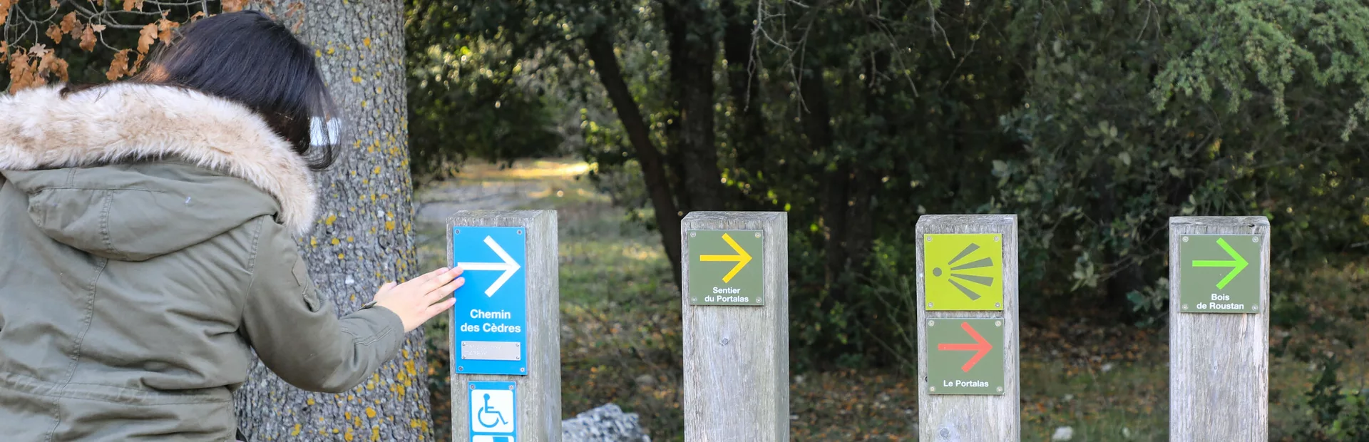 Installation accessibilité à la forêt des Cèdres  © Hocquel