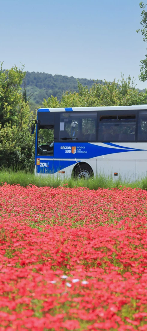 Bus du réseau Zou  © Hocquel
