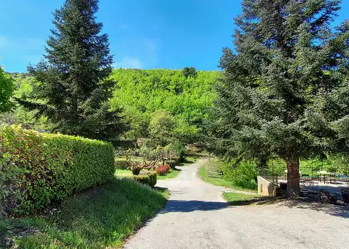 Allée du camping du Vallon  © Bonnet